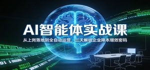 AI智能体实战课：从上岗落地到全自动运营，三天解锁企业降本增效密码-沧海聊项目