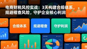 电商财税风控实战：3天构建合规体系，规避稽查风险，守护企业核心利润-沧海聊项目