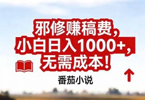 番茄小说赚稿费邪修玩法无需成本，真实日入1000+，超级简单！-沧海聊项目