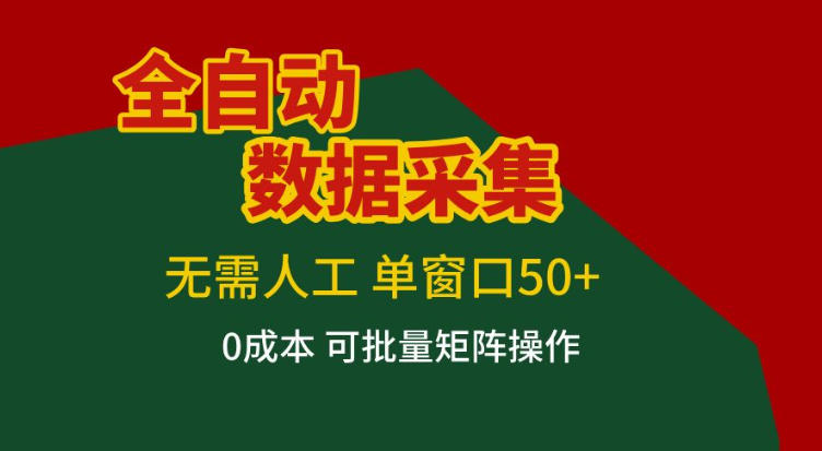 全自动数据采集，无需人工，单窗口50+，0成本可批量矩阵操作【揭秘】-沧海聊项目