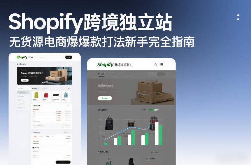 Shopify跨境独立站无货源电商爆款打法新手完全指南-沧海聊项目
