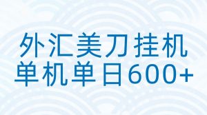 外汇美刀挂机：全自动挂机赚美金，单机600+-沧海聊项目