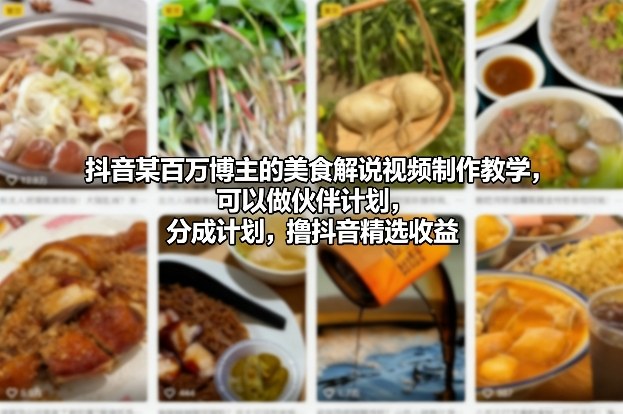 抖音某百万博主的美食解说视频制作教学，可以做伙伴计划，分成计划，撸抖音精选收益(更新)-沧海聊项目