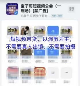 宝子哥头部团队短视频带货，以混剪为主，不需要真人出镜，不需要拍摄【更新26年1月】-沧海聊项目