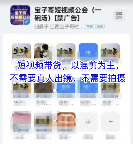 宝子哥头部团队短视频带货，以混剪为主，不需要真人出镜，不需要拍摄【更新26年1月】-沧海聊项目
