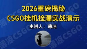 CSGO游戏挂机游戏搬砖最新升级，普通小白一部手机可日入300+当天见结果，支持验证-沧海聊项目