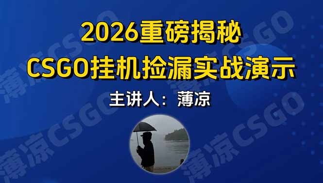 CSGO游戏挂机游戏搬砖最新升级，普通小白一部手机可日入300+当天见结果，支持验证-沧海聊项目