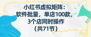 小红书虚拟矩阵：软件批量发笔记，单店100款，3个店同时操作(共71节)-沧海聊项目