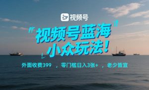 视频号蓝海小众玩法！外面收费399，零门槛日入3张+，老少皆宜-沧海聊项目