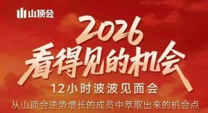 2026看得见的机会，剖析十几个实战案例，可直接抄作业，再优化迭代，内容超全，干货满满-沧海聊项目
