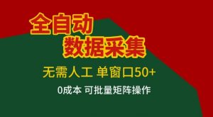 全自动数据采集项目，无需人工，单窗口可达50+收益，操作简单无难度，一个人也能轻松实现矩阵【揭秘】-沧海聊项目