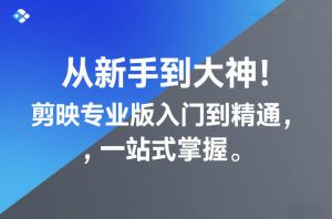 从新手到大神！剪映专业版入门到精通，一站式掌握-沧海聊项目