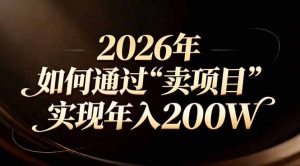 站在2026年的十字路口：一个普通人如何通过卖项目实现年入200万-沧海聊项目