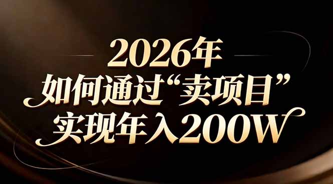 站在2026年的十字路口：一个普通人如何通过卖项目实现年入200万-沧海聊项目