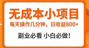 无成本小项目 每天操作几分钟，真实日收益800+ 副业必看 小白必做！-沧海聊项目