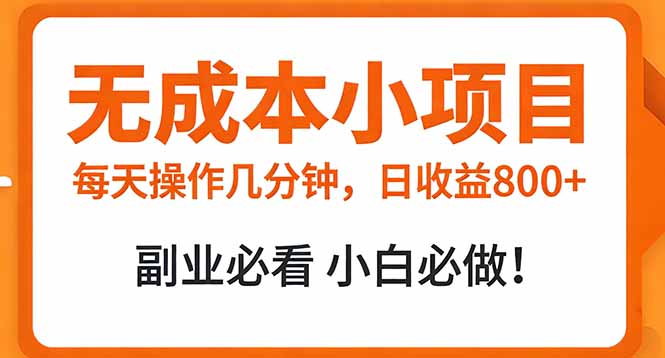 无成本小项目 每天操作几分钟，真实日收益800+ 副业必看 小白必做！-沧海聊项目