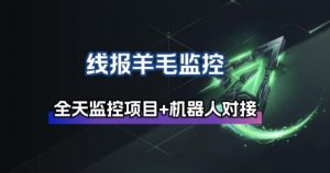 线报羊毛监控_自动挂机监控+群机器人通知-沧海聊项目