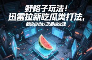 野路子玩法！迅雷拉新吃瓜类打法，截流自热以及后端处理-沧海聊项目