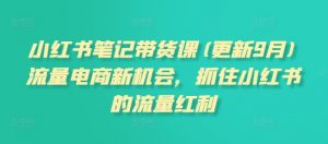 小红书笔记带货课，流量电商新机会，抓住小红书的流量红利(更新26年2月)-沧海聊项目