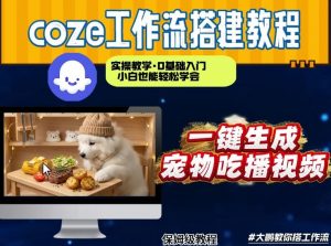 通过Coze工作流，制作宠物吃播视频，几分钟制作一个视频，从0到1演示搭建过程-沧海聊项目