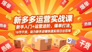 拼多多运营实战课，新手入门+运营进阶、爆单打法，16节干货，助力新手店铺快速实现日出百单-沧海聊项目