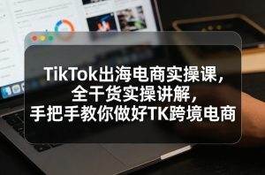 TikTok出海电商实操课，全干货实操讲解，手把手教你做好TK跨境电商-沧海聊项目
