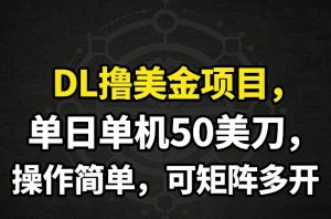 DL撸美金项目，单日单机50美刀，操作简单，可矩阵多开-沧海聊项目