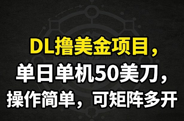 DL撸美金项目，单日单机50美刀，操作简单，可矩阵多开-沧海聊项目
