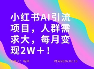 她通过这个AI项目每月做到2W＋的收入，最新小红书AI项目，人群需求大！-沧海聊项目