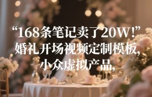 168条笔记卖了20W！婚礼开场视频定制模板，小众虚拟产品-沧海聊项目