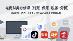 电商财务必修课(对账+做账+税务+分析-沧海聊项目