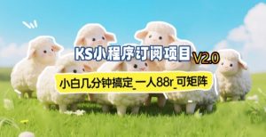 【新一期】小程序订阅_小白几分钟70-80r，可矩阵(已测到账)-沧海聊项目