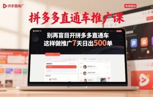 拼多多直通车推广课，别再盲目开拼多多直通车，这样做推广7天日出500单-沧海聊项目