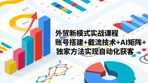 外贸新模式实战课程-更新2月，账号搭建+截流技术+AI矩阵+独家方法实现自动化获客-沧海聊项目