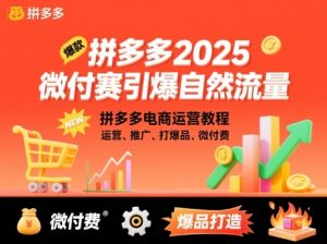 拼多多微付费引爆自然流量，拼多多电商运营教程，运营、推广、打爆品、微付费(更新26年2月)-沧海聊项目