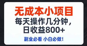 无成本小项目,每天操作几分钟,日收益800+ 副业必看 小白必做！-沧海聊项目