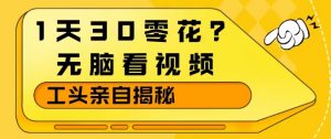 1天30零花？无脑看视频，大佬亲自揭秘-沧海聊项目