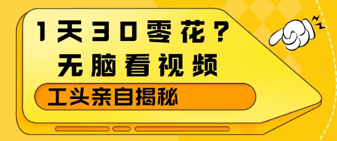 1天30零花？无脑看视频，大佬亲自揭秘-沧海聊项目