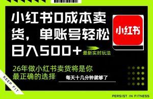 小红书0成本AI卖货，单账号轻松日入500+，完全托管AI，可矩阵放大-沧海聊项目