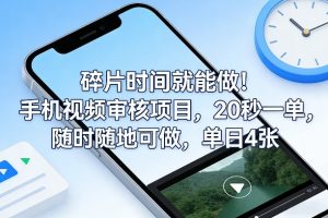 碎片时间就能做！手机视频审核项目，20秒一单，随时随地可做，单日4张+【揭秘】-沧海聊项目