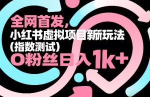 全网首发，小红书虚拟项目新玩法(指数测试)，0粉丝日入1k+，整个玩法完整拆解！-沧海聊项目