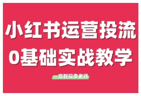 小红书运营投流，小红书广告投放从0到1的实战课，学完即可开始投放(更新26年)-沧海聊项目