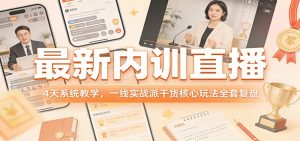 最新内训直播，4天系统教学，一线实战派干货核心玩法全套复盘-沧海聊项目