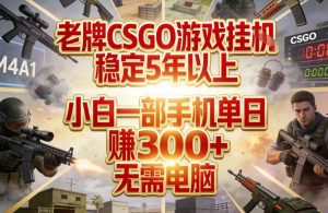 老牌CSGO游戏挂G，稳定5年以上，小白一部手机单日賺3张+，无需电脑【揭秘】-沧海聊项目