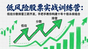 低风险股票实战训练营：低估分散排雷三箭齐发，手把手教你构建十年十倍永续组合-沧海聊项目