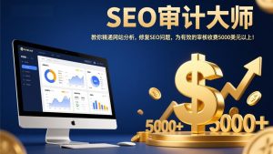SEO审计大师：教你精通网站分析，修复SEO问题，为有效的审核收费5000美元以上！-沧海聊项目