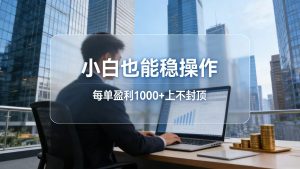 2026新项目，小白也能稳操作，每单盈利1000+上不封顶-沧海聊项目