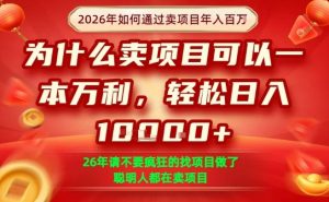 一单净利润1K+，26年想年入100个W，死磕卖项目就够了【揭秘】-沧海聊项目