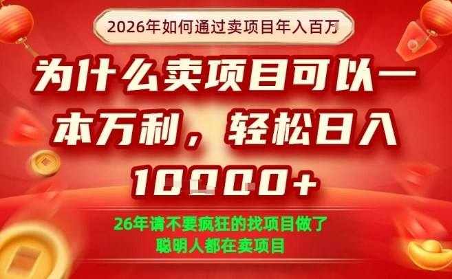 一单净利润1K+，26年想年入100个W，死磕卖项目就够了【揭秘】-沧海聊项目