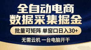 独家电商数据全自动采集项目，批量可矩阵，单窗口轻松日入3张+【揭秘】-沧海聊项目